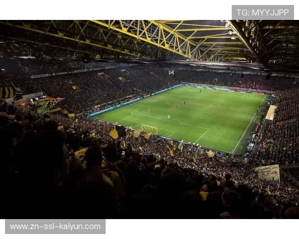 德甲新增反歧视官员,打击球场不当行为 德甲新增反歧视官员,打击球场不当行为